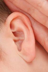 Outer Ear