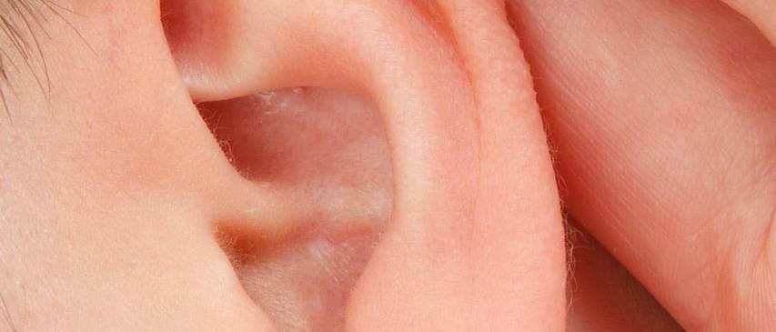 Outer Ear